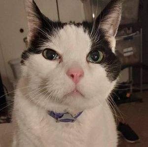 Meet your Posher, Aaron